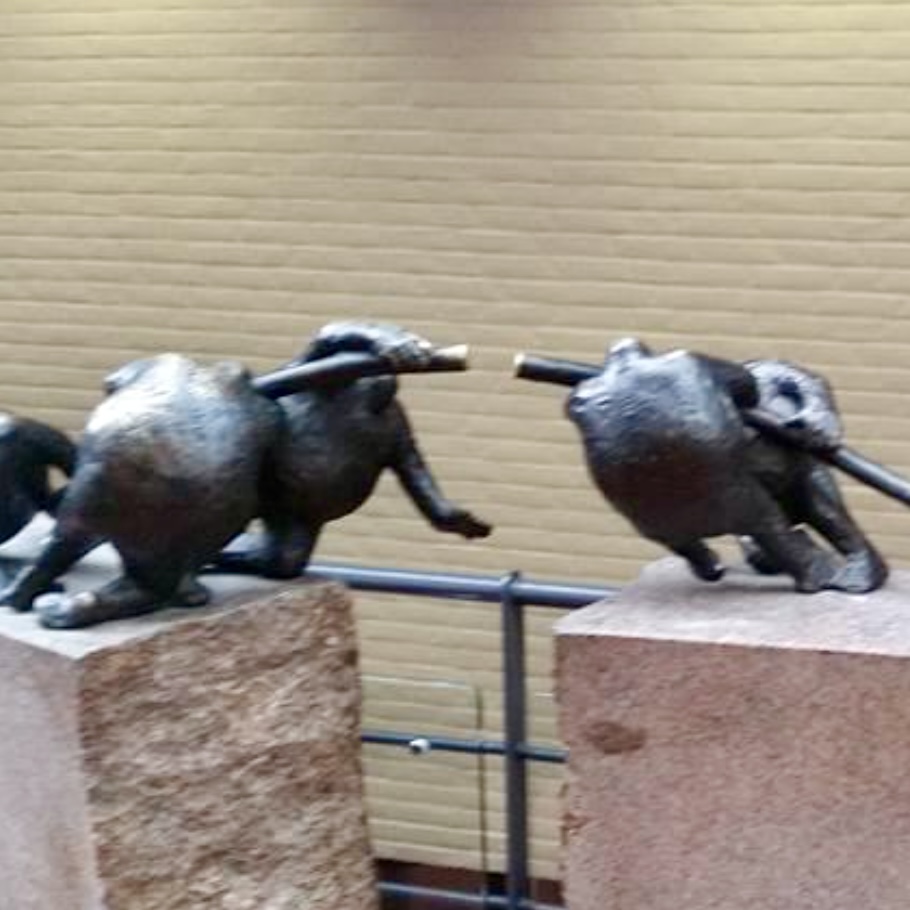 17C60E69 A41B 40AF A197 2D6884F9476E 1 201 A